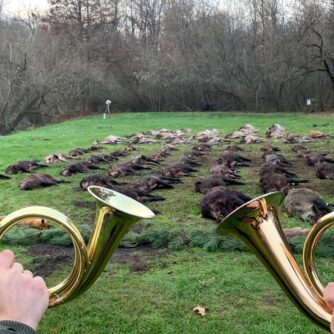 Ungarn Drückjagd