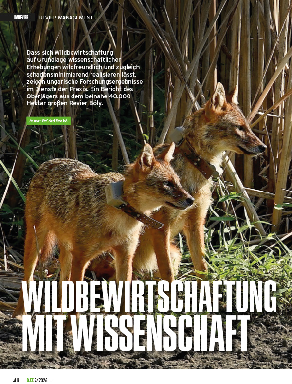 DJZ-07-2026-wildbewirtschaftung-mit-wissenschaft